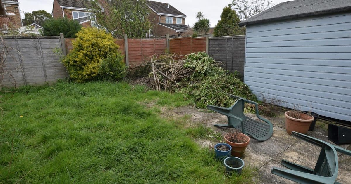 Garden clearance in Fareham: what can be removed and how to prepare